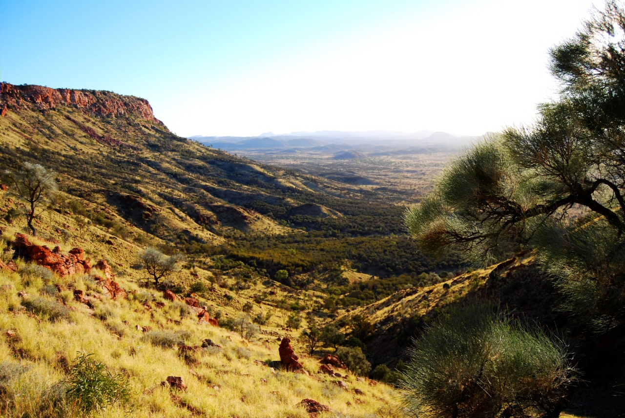 Alice Springs Image 9