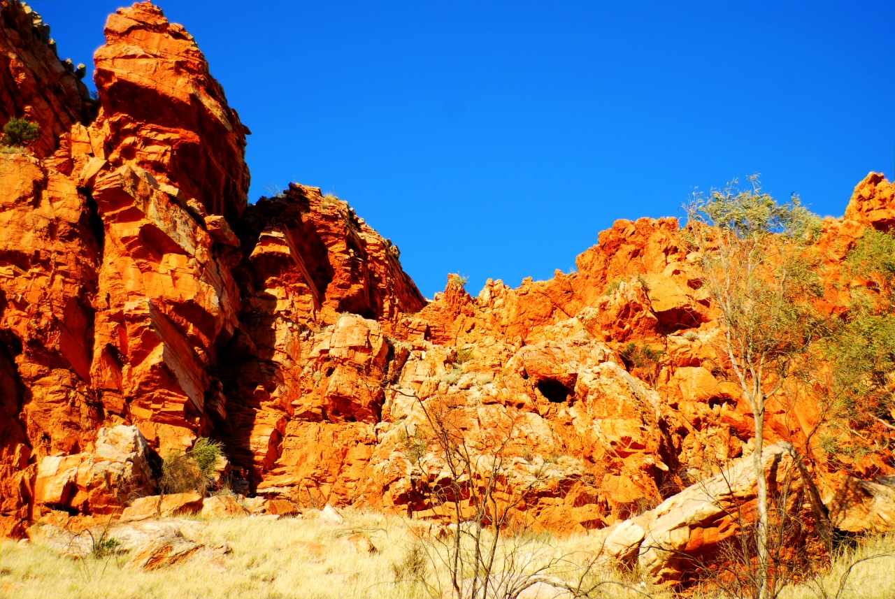 Alice Springs Image 12